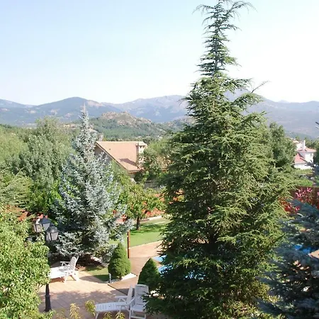 B&B Concha-2