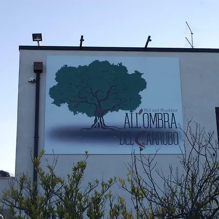 All'ombra del Carrubo - Metaponto-2