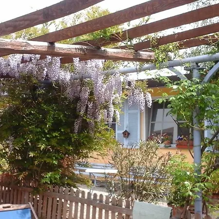 Lavanda e Rosmarino-2