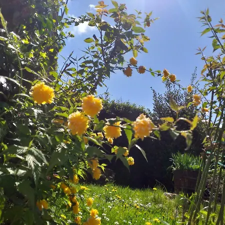 La Residenza Delle Rose-2