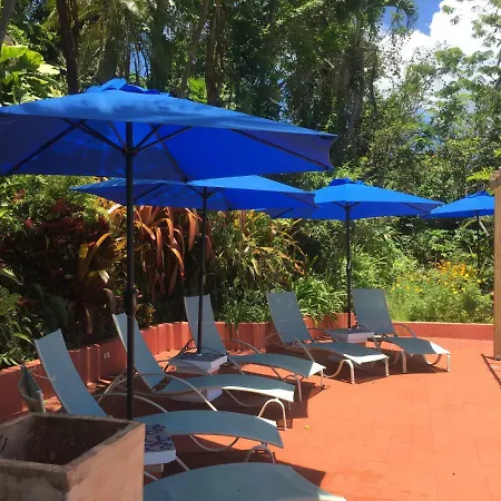El Pequeño Hotel-3