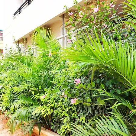 Mapletree Inn-2