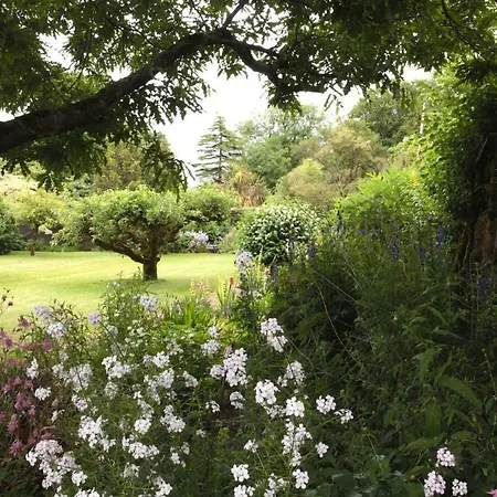 Willowhill House Bed And Breakfast P43 Yk06-3