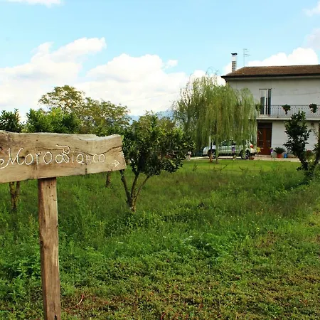 Il Moro Bianco-3