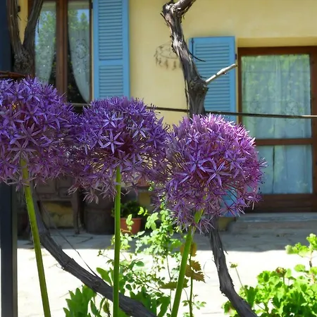 B&B Cascina Marie-2