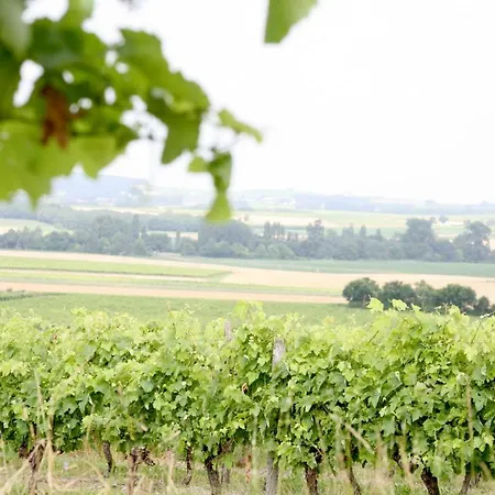 Au Coeur Des Vignes-3