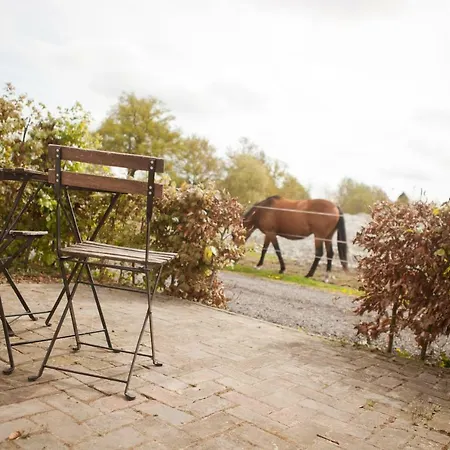 Bed&Breakfast de Bimd Hoeve-3