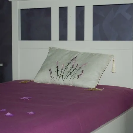 B&B Aurora-2