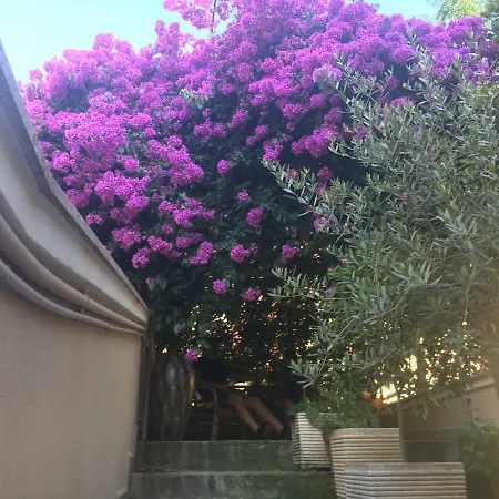 B&B La Bougainvillea-3