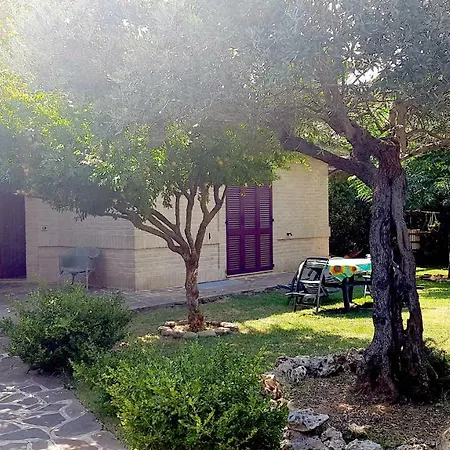 Recanati Family-2