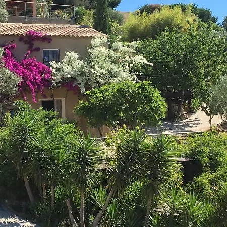 Les terrasses sur mer-2