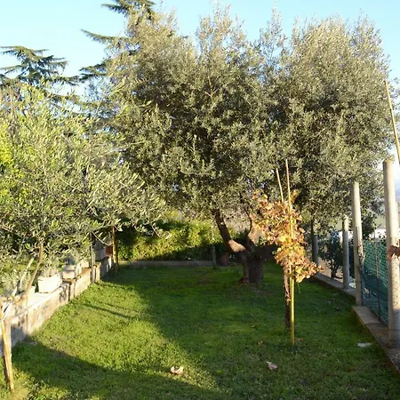 A1 Girasole B&B-3