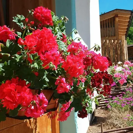 B&B El Molin-3