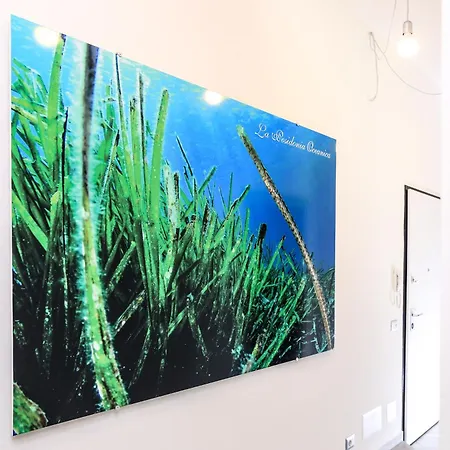 La Posidonia Oceanica-3