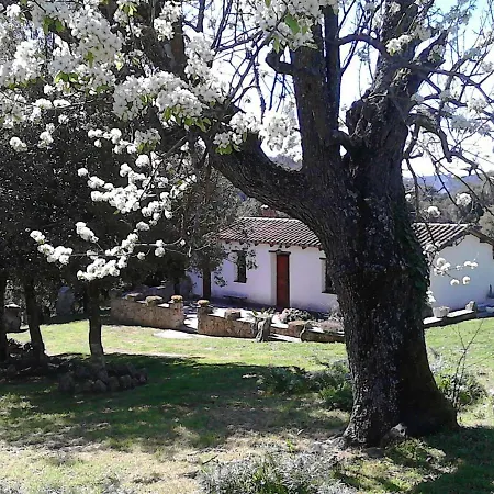 B&B I Menhir-2