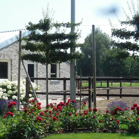B&B De 7 Sprong-3