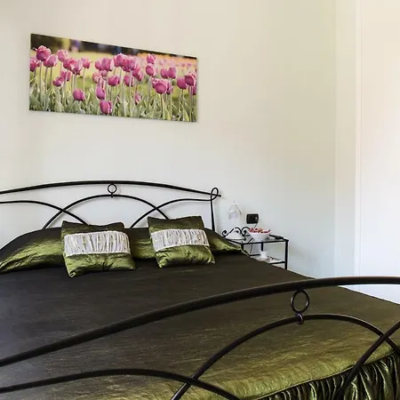 Floreo Guest House-2