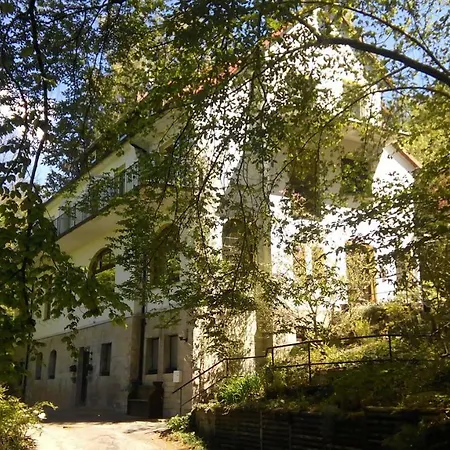 Pension/Bed And Breakfast Pangea-3