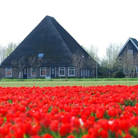 B&B Idylle Aan Zee Incl 2 Wellnessstudios-3