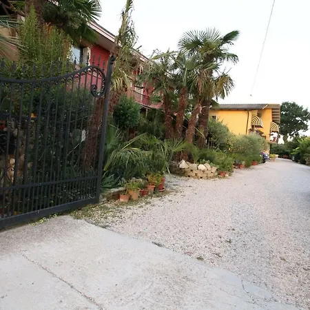 B&B Le Palme D'Oro-3