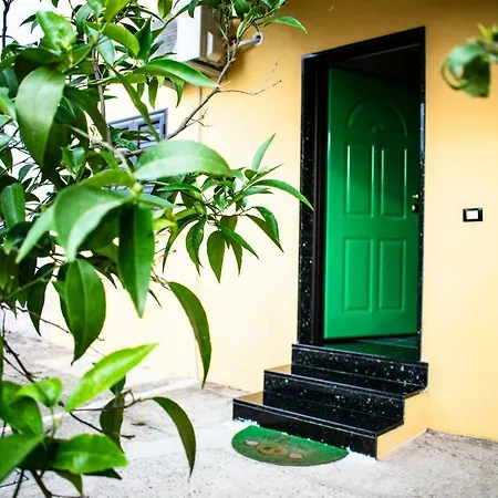 B&B L'Uliveto-3