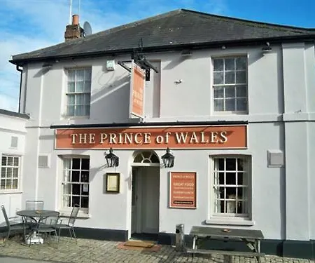 Prince Of Wales Marlow-3