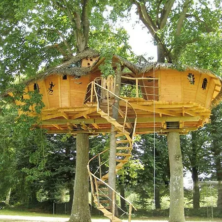 Insolite dans les arbres Les Ormes, Epiniac-2