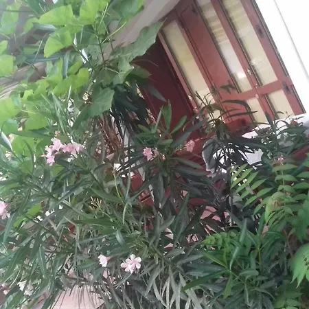 A Casa di Nené-2