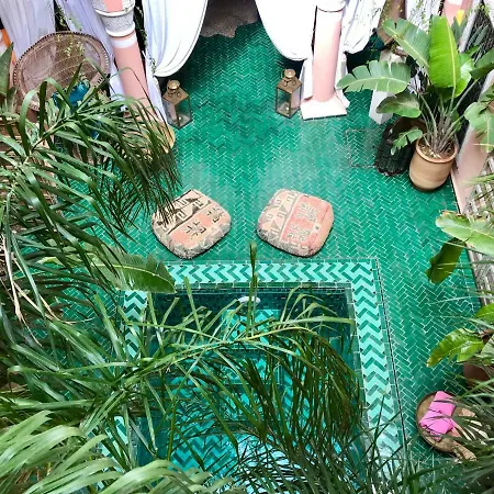 The Bohemian Jungle-2