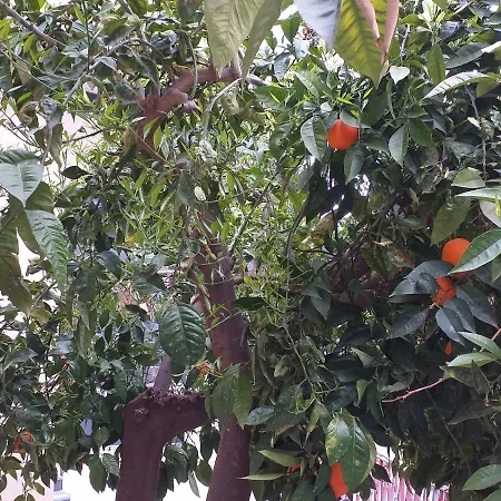 Appartamento B&B Domus Pompei-3