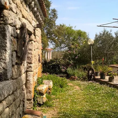 Agriturismo La Vigna-3