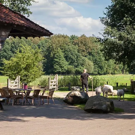 Bed&breakfast Hoeve Springendal-3