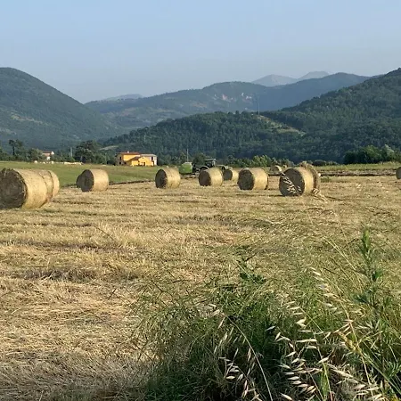 B&B zio Domenico-2
