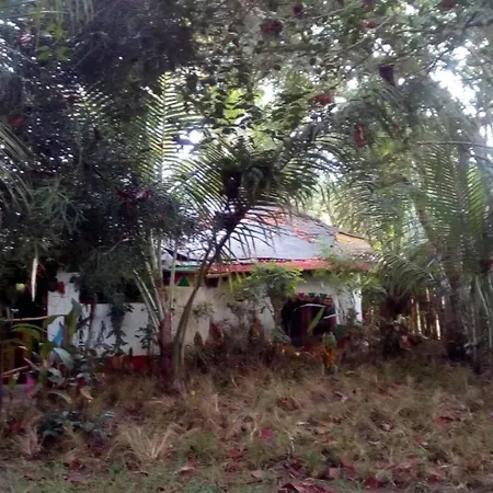 Green Zion Garden-2