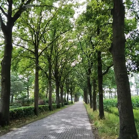 B&B Bij Bijnen-3