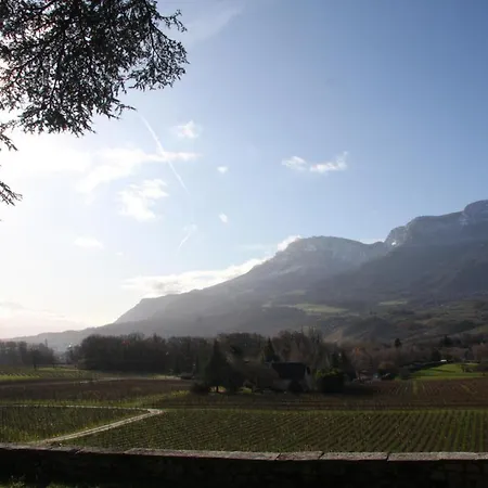 Château La Violette-2