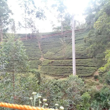 Lily Adam'S Peak-2