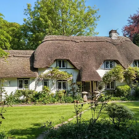 Thatched Eaves-2