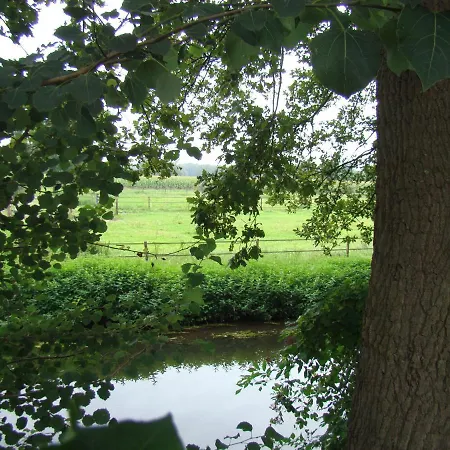 B&B Onder Ons Riet-2