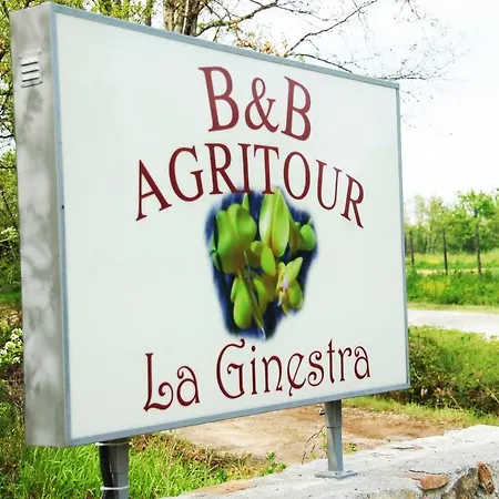 La Ginestra-2