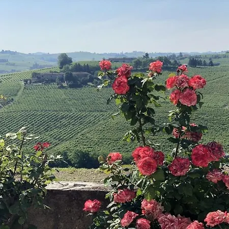 Tenuta Le More-2