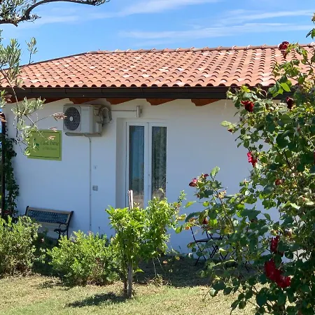 B&B Villa Sveva-2