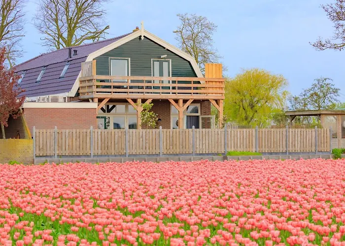 B&B Blossom Lisse