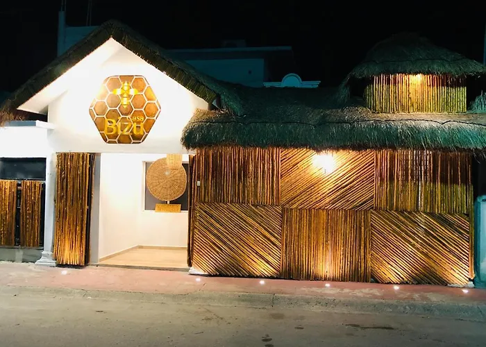 Casa Bizu