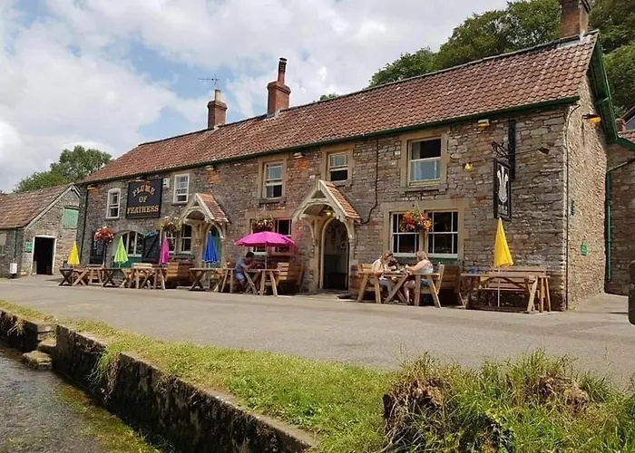 Plume Of Feathers