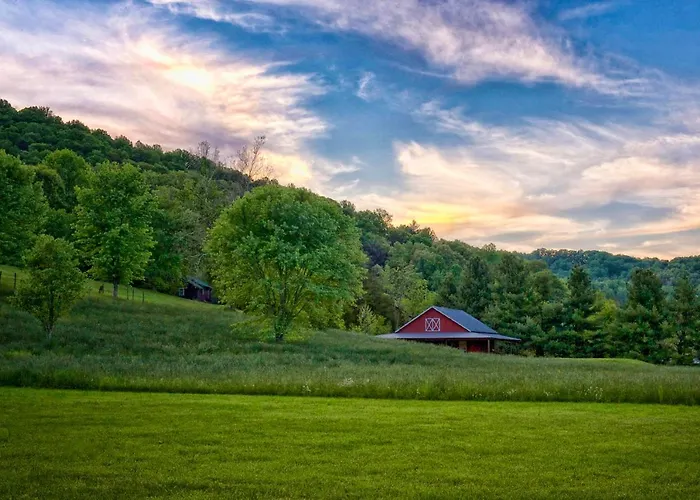 Mountain Springs Cabins