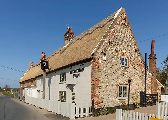 The Ingham Swan