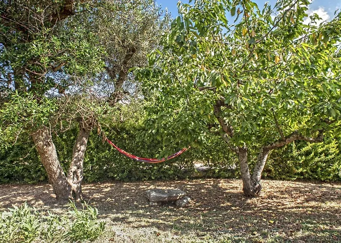 B&B Il Brigante Alberobello