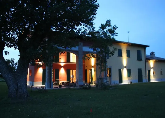 La casa dei gatti