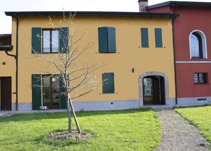 La casa dei gatti